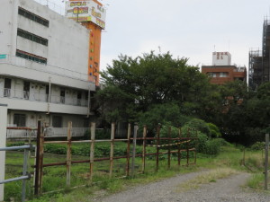 写真：県道東側の畑地