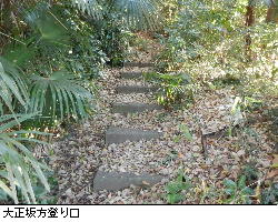 写真:麻溝台畑地方降り口