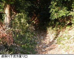 写真:大下坂方降り口