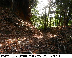 写真:合流点①