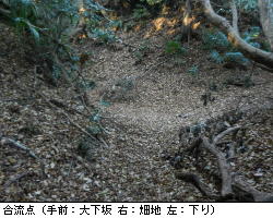 写真:合流点②