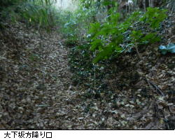 写真:道保川下流方登り口