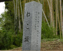 写真：ねこ坂地名標柱