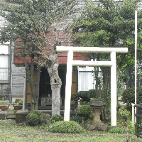 写真：神明大神