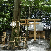 写真：大鷲神社