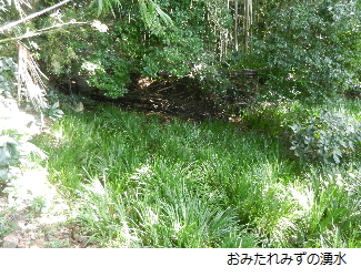 写真：おみたれみずの湧水地