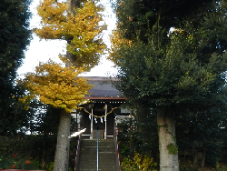 写真：日枝神社