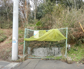 写真：原宿から下九沢へ下る斜面