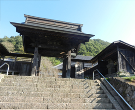 写真：善勝寺