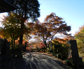 写真：正覚寺境内