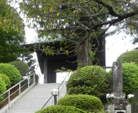 写真：宝泉寺山門