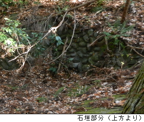 写真：石垣部分（上部より）