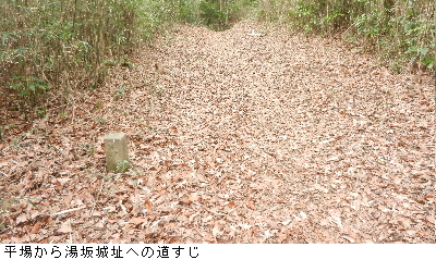 写真：平場から湯坂城址への道すじ