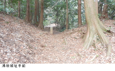 写真：湯坂城址手前