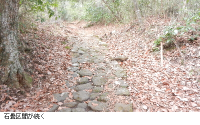 写真：石畳区間が続く