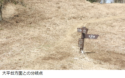 写真：大平台方面との分岐点