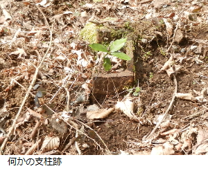 写真：〒マークのみの標石