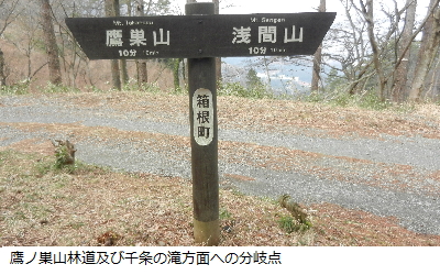 写真：鷹ノ巣山林道付近にある道しるべ