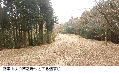 写真：鷹巣山から芦之湯への下りみち