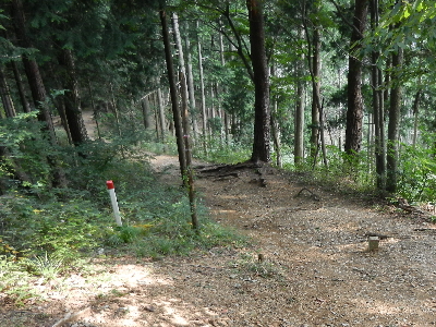 写真：界四二 界標・周辺