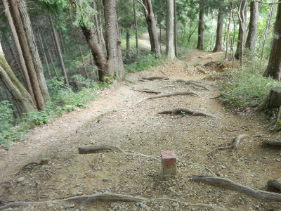 写真：界三九支九 界標・周辺