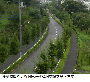 写真：小山支道（より）