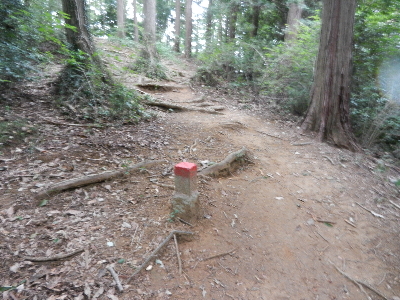 写真：界二二二 界標・周辺