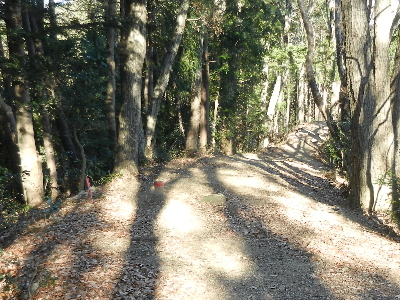 写真：界一〇ノ六 界標・周辺