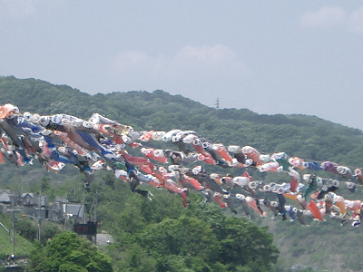 写真：相模原市中央区水郷田名 相模川-2007年05月