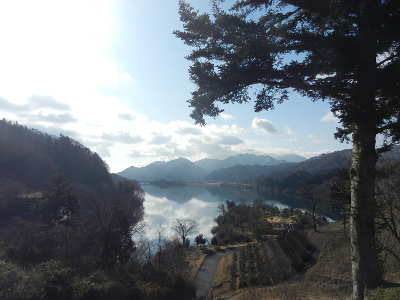 写真：相模原市緑区鳥屋 鳥居原湖畔庭園 -2015年02月